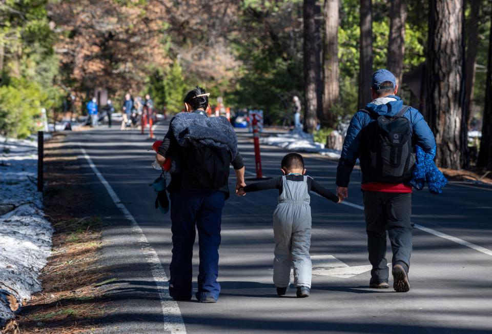 Check out America’s 9 most accessible national parks, according to reviews