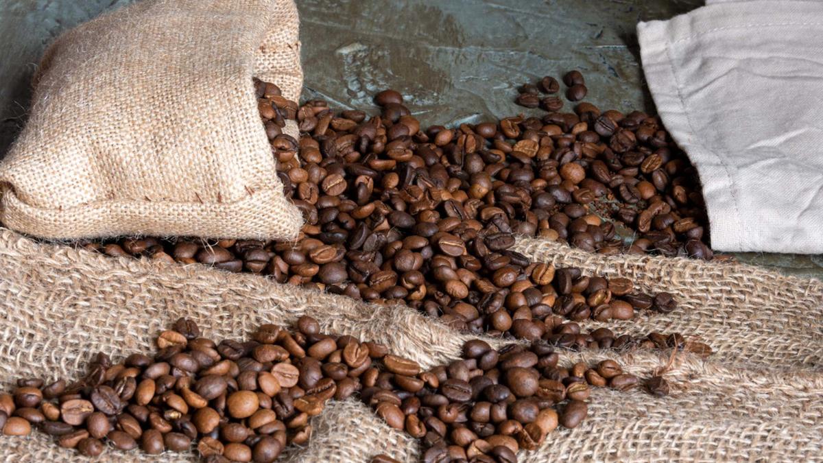 Coffee companies issue serious warnings after beans become nearly impossible to grow — here’s what’s going on