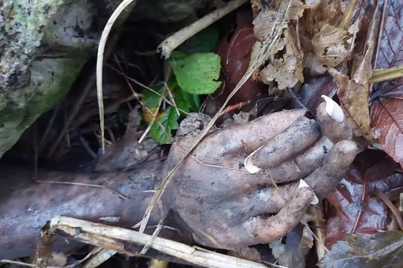 Couple’s Boxing Day walk ‘ruined’ after grim find