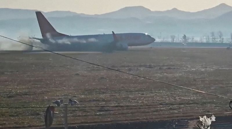 Experts question bird strike as cause of South Korea plane crash