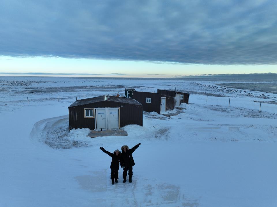 Face-to-Face with Wild Polar Bears: A Life-Changing Arctic Adventure