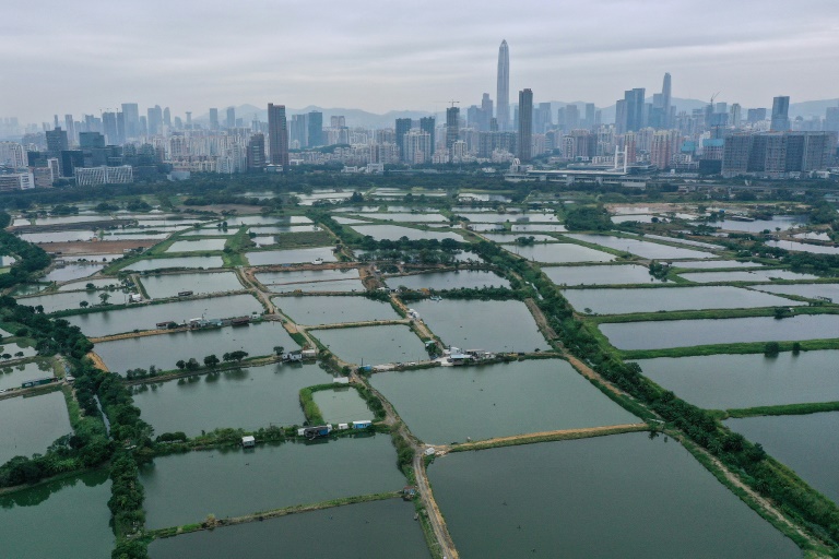 Hong Kong mega development plan to devour villages, wetlands