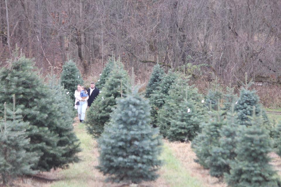 How to dispose of your Christmas tree, from curbside pickup to drop-off sites