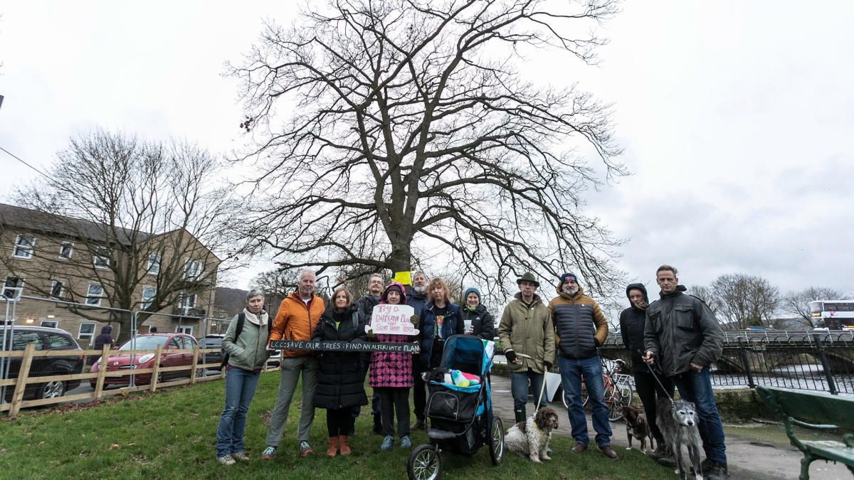 Local residents camp through the night to save 180-year-old tree from being felled