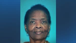 Lynn police searching for missing 73-year-old person