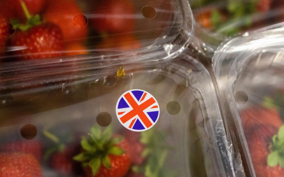 Net zero ‘grocery tax’ to push up shopping bills by £1.4bn