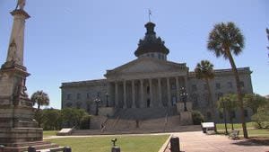 New S.C. bill targets early indicator of deadly domestic violence