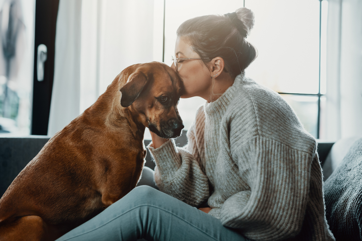 New Study on True Origin of Dogs’ Relationships with Humans Is a Total Eye-Opener