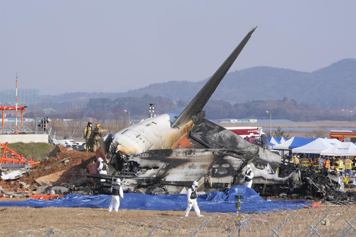 Plane burst into flames after skidding off runway at an airport in South Korea, killing at least 174