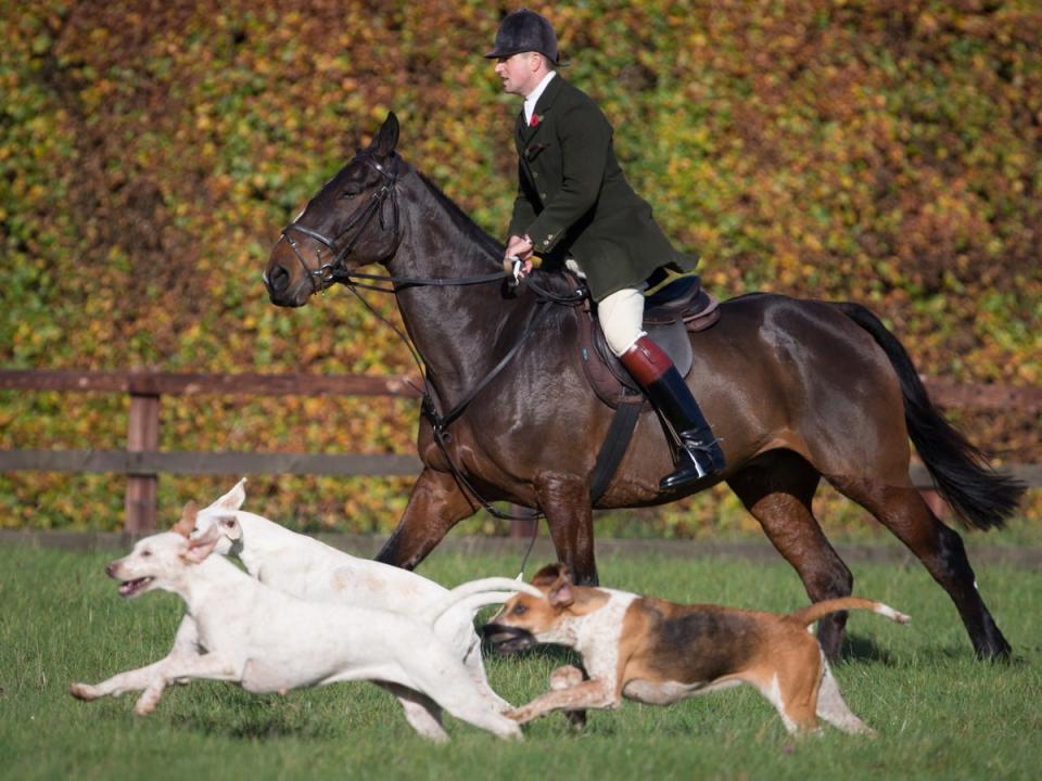 Pressure mounts over Boxing Day hunts as ministers accused of ‘unjustified’ law change