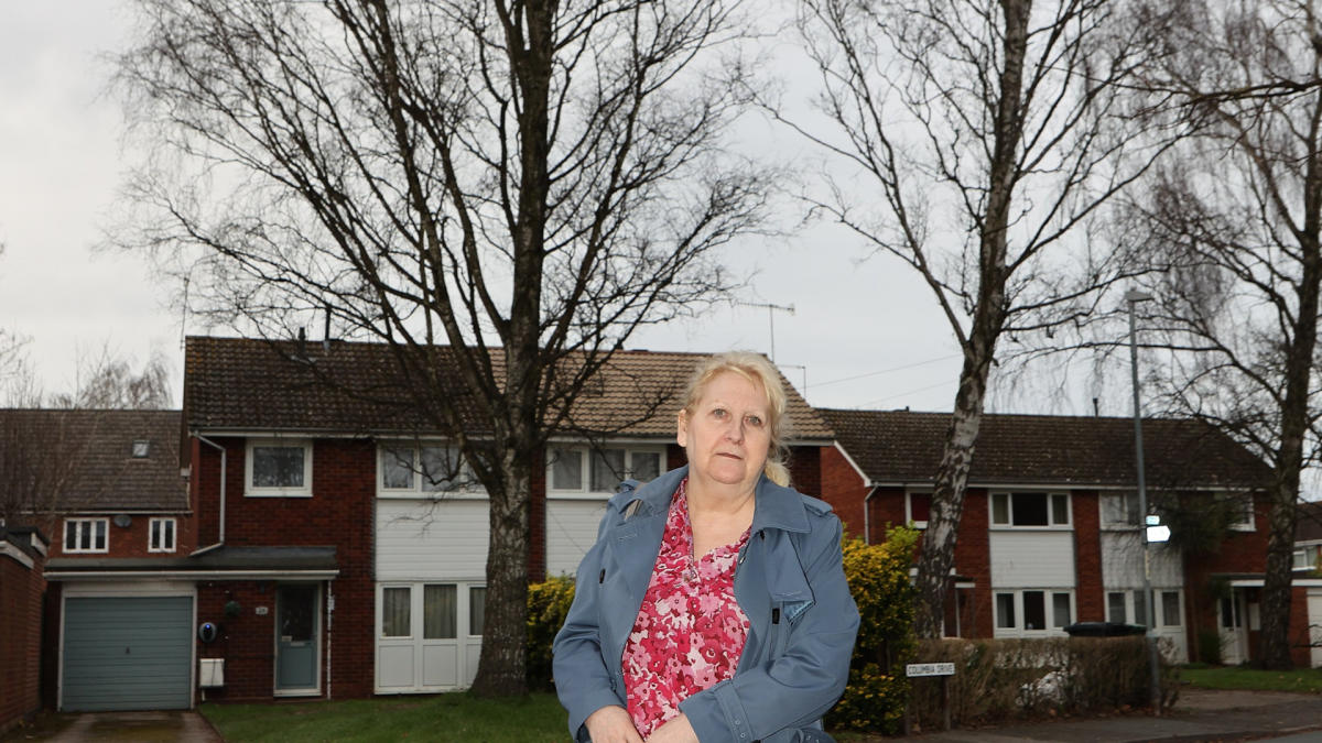 Residents fear 100ft tree will crush their homes but council refuse to cut it down