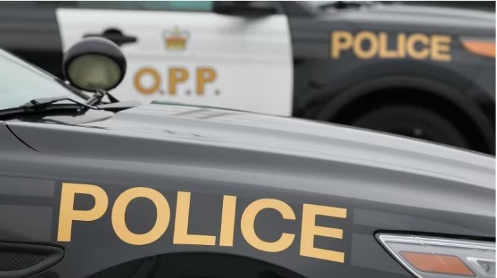 Suspects posed as police in roadside robbery of vehicle, Elgin County OPP say