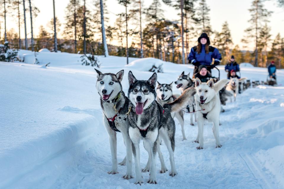 There’s a real winter wonderland in Finland—here’s how to visit