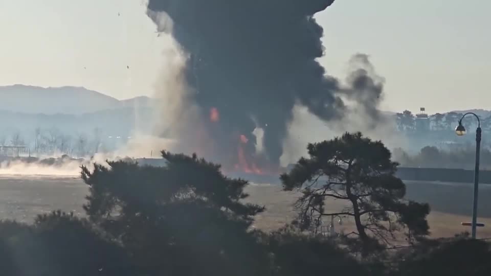 Video shows deadly Jeju Air flight crash in South Korea