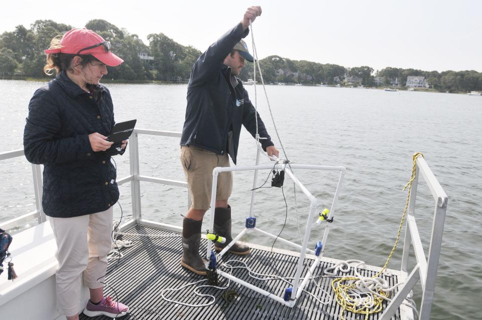 Water quality report: 90% of Cape Cod’s tested coastal embayments are ‘unacceptable.’