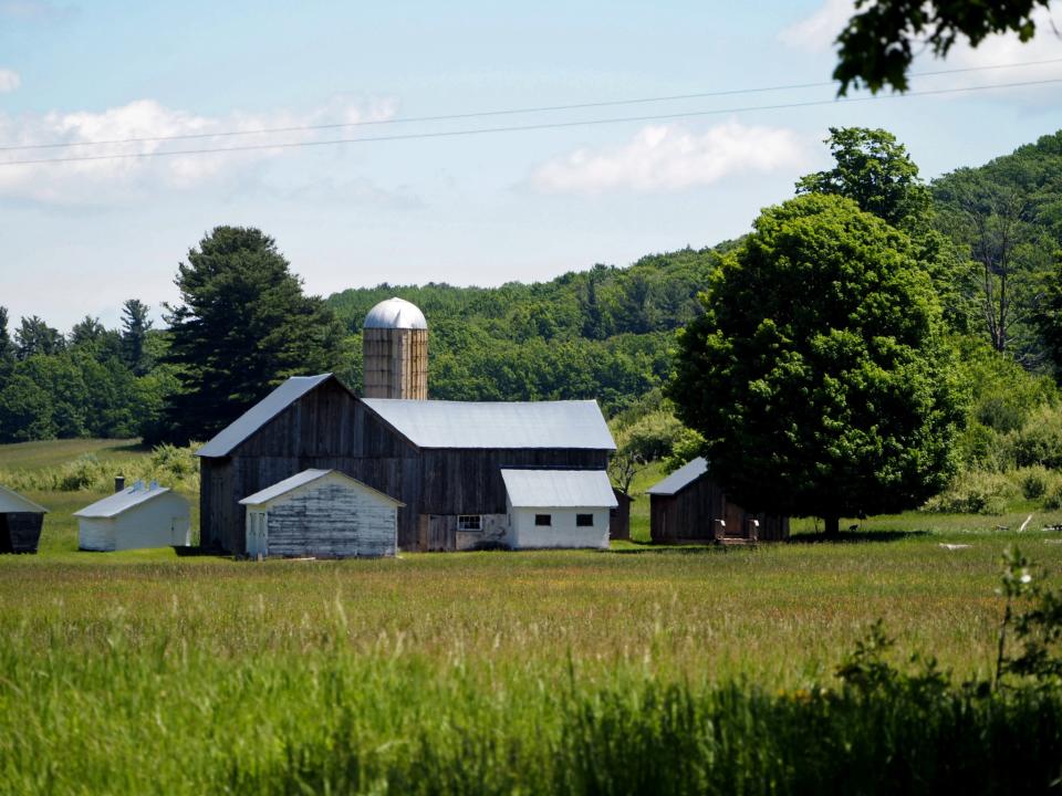 Wetland loss could cost Michiganders billions in flood damage, according to new report