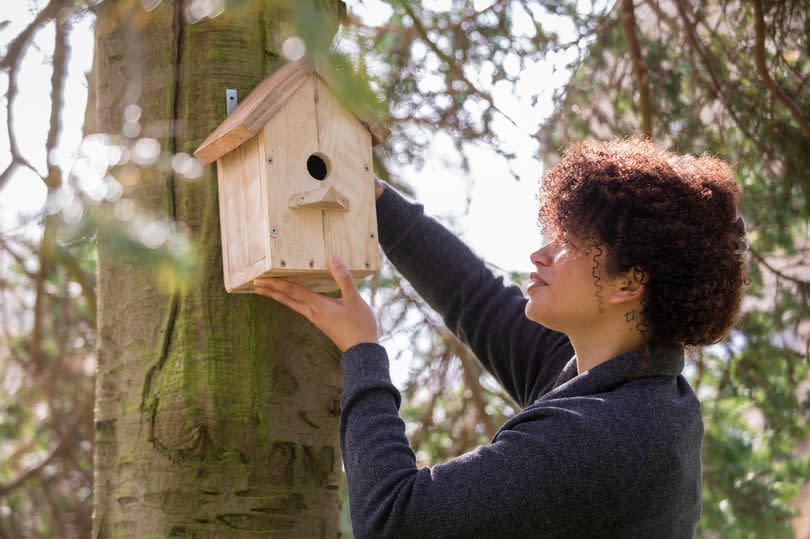 Anyone with a bird box in their garden urged to do one key thing before February