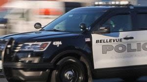 Bellevue police arrest 161 shoplifters during 2024 holiday season