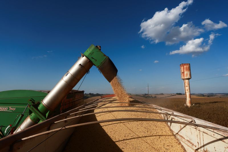 Brazil says soy shipments to China from five firms halted due to contamination