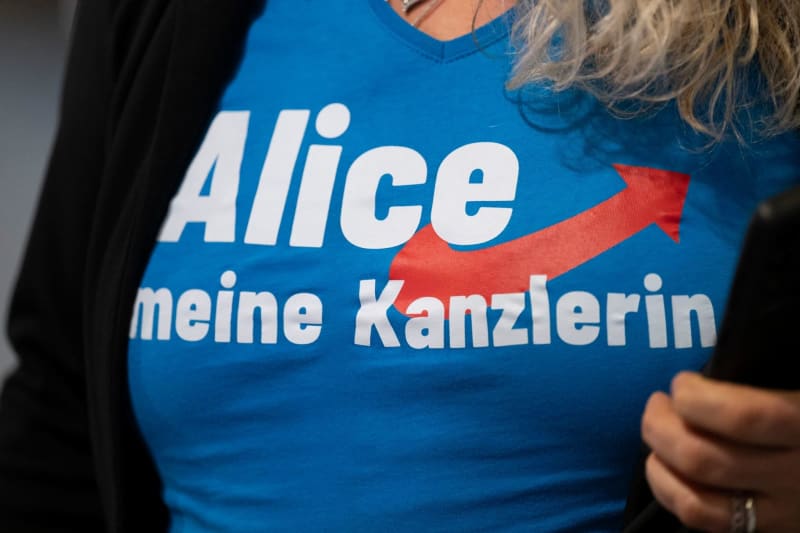 Controversy over AfD ‘Deportation Tickets’ in Karlsruhe