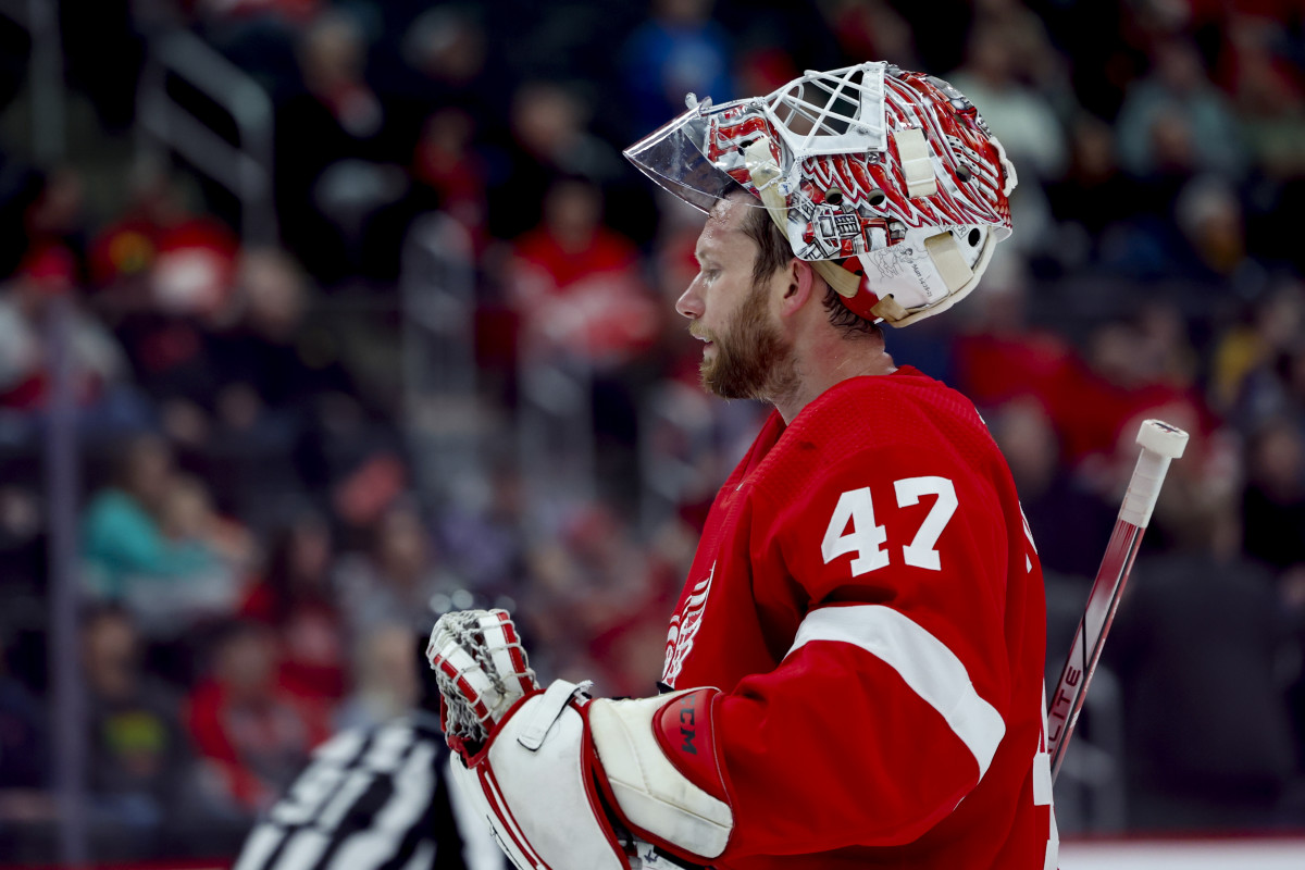 Ex-Red Wings Goalie Hits Big Rough Patch