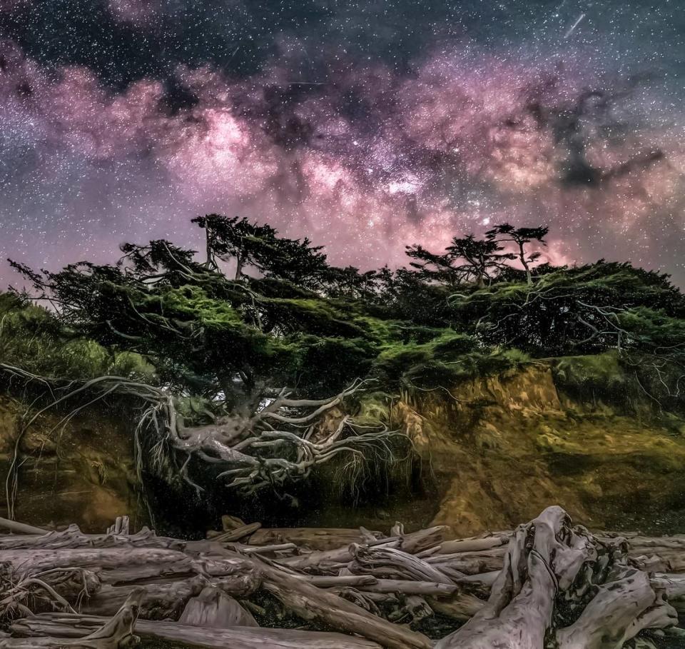 Famous ‘Tree of Life’ slumps but struggles to survive on WA coast after recent storms