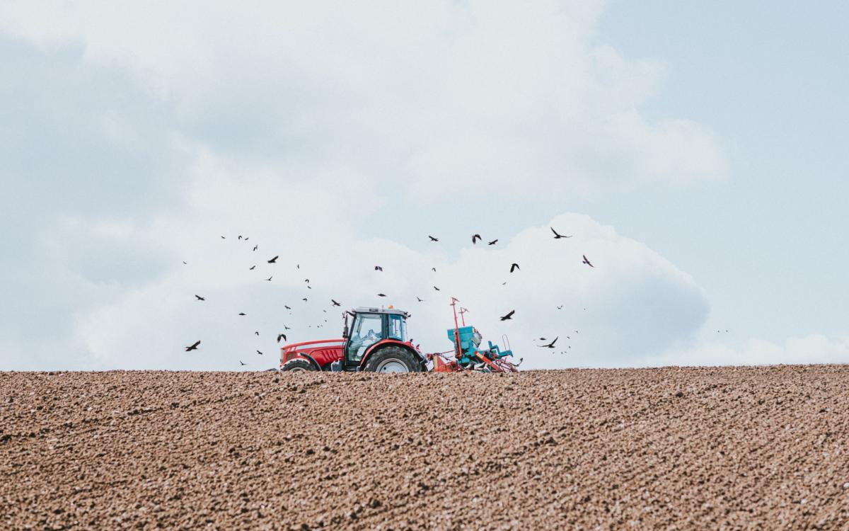 Farmer loses decade-long legal battle to plough his own fields