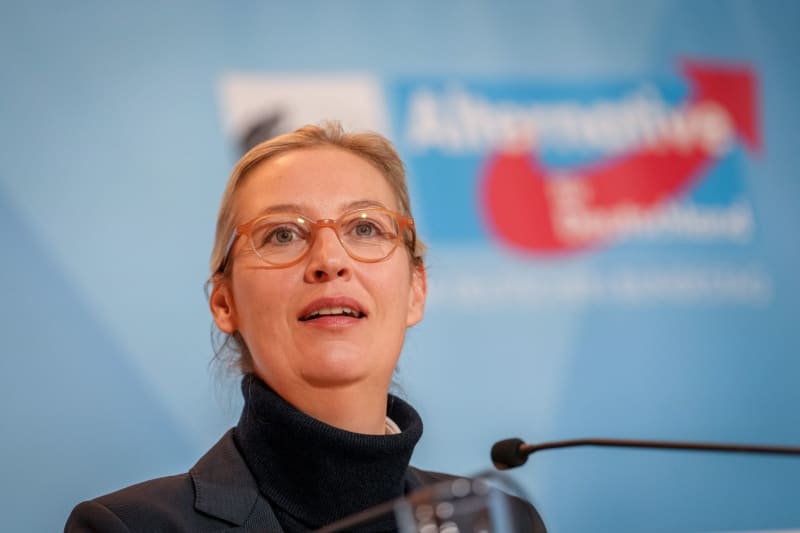 Germany’s far-right AfD welcomes mandate for Freedom Party of Austria