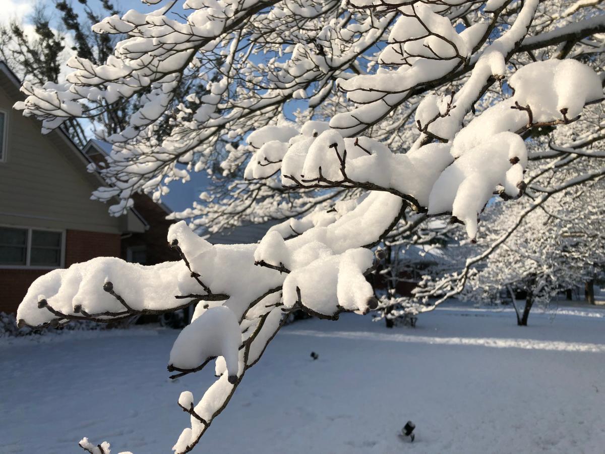 Gov. Andy Beshear issues state of emergency for Kentucky ahead of winter storm