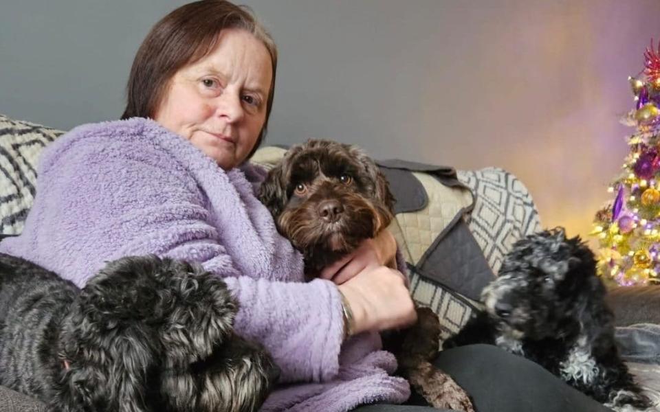 Grandmother ‘nearly drowned’ in sinkhole while trying to save her dog