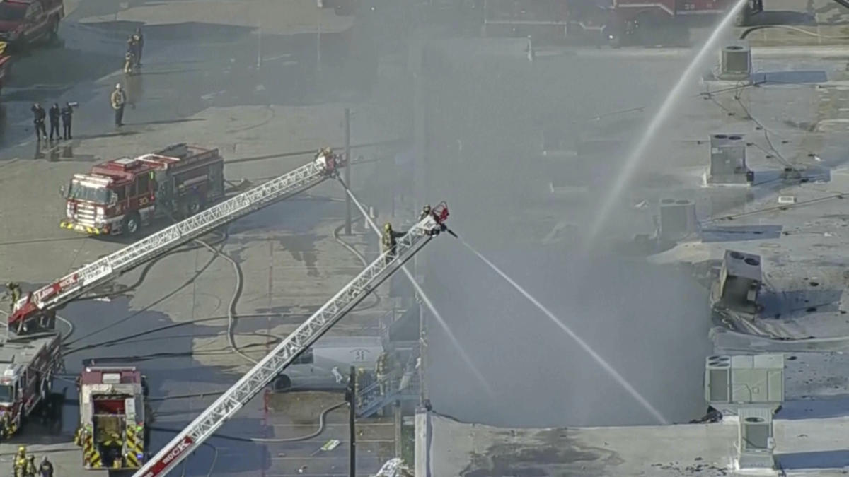 Hundreds of animals killed in Dallas shopping center fire