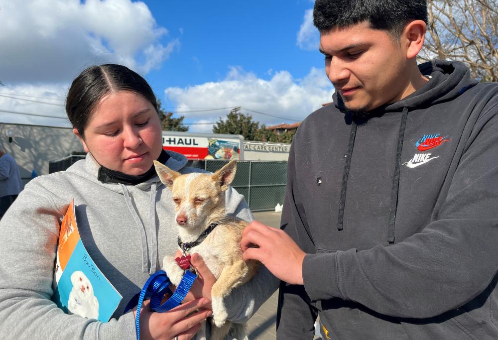 ‘It brings out the best in humanity’: the rescuers saving pets from LA’s wildfires