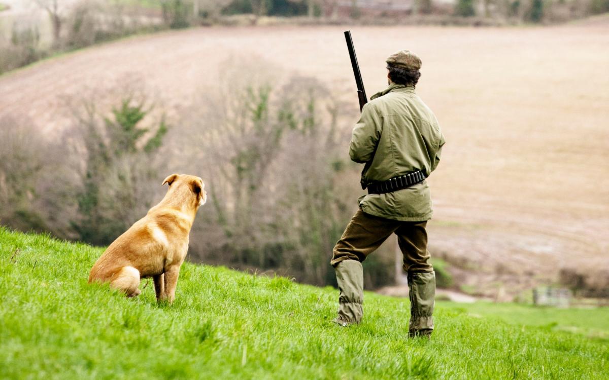 Labour doubles fees for gun ownership in new ‘tax’ raid on rural communities