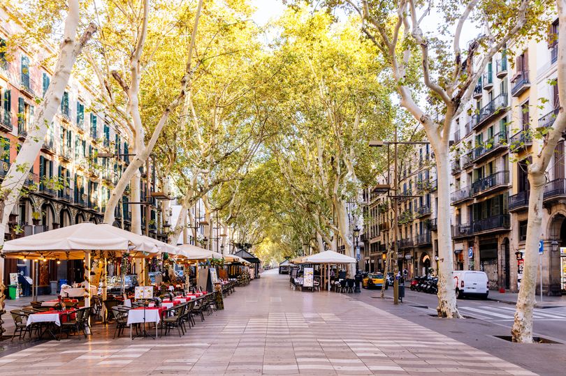 Man travels to Spain – what he finds hidden behind shop leaves him gobsmacked