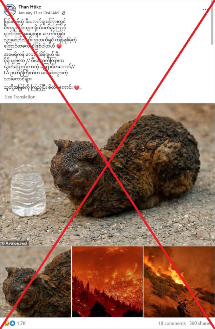 Old picture of burnt cat falsely linked to Los Angeles fires