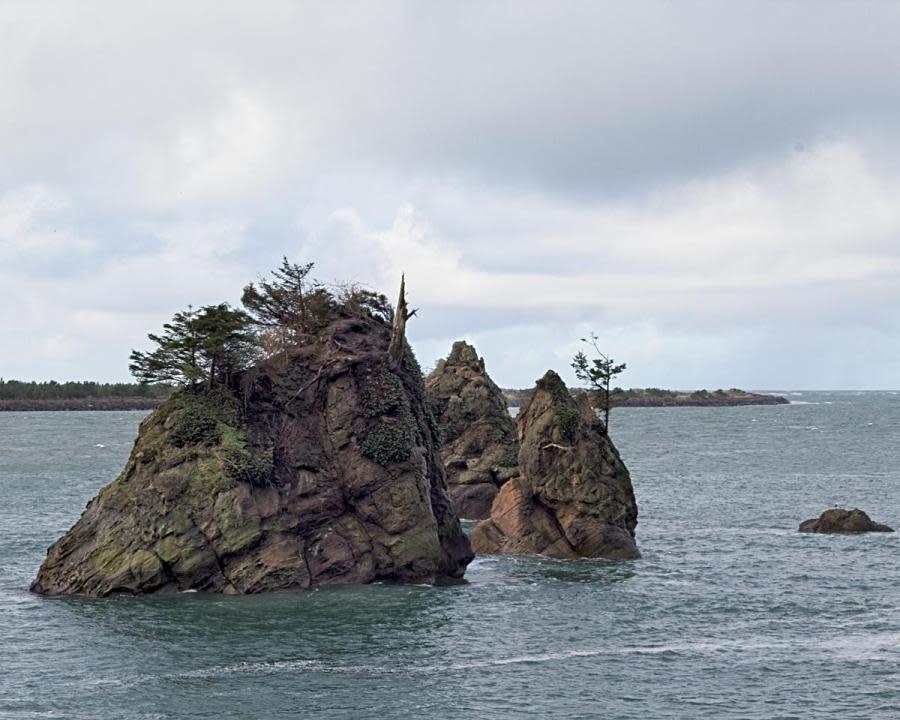 Picturesque Oregon landmark blown over in holiday windstorm