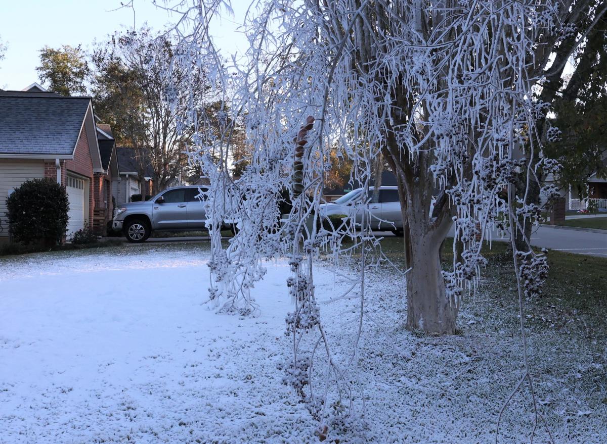 Sand trucks at the ready, Leon County officials prep for possible freak Florida snowstorm