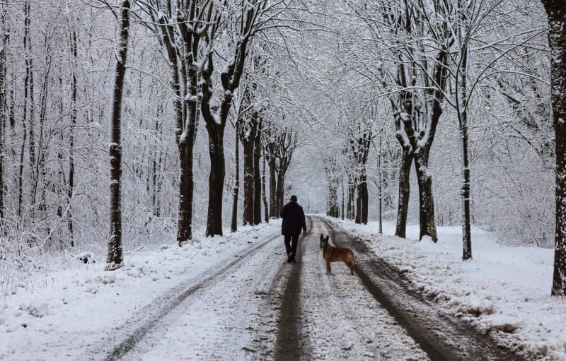 Two die as cold snap grips northern France