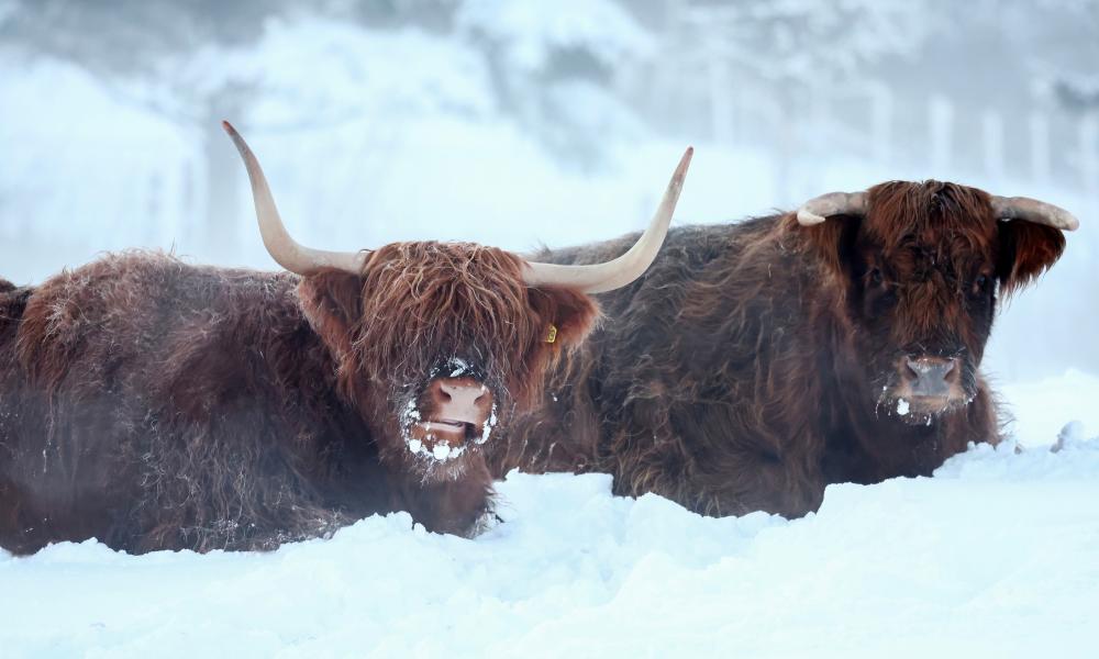 UK records -17.3C in chilliest January night in 15 years