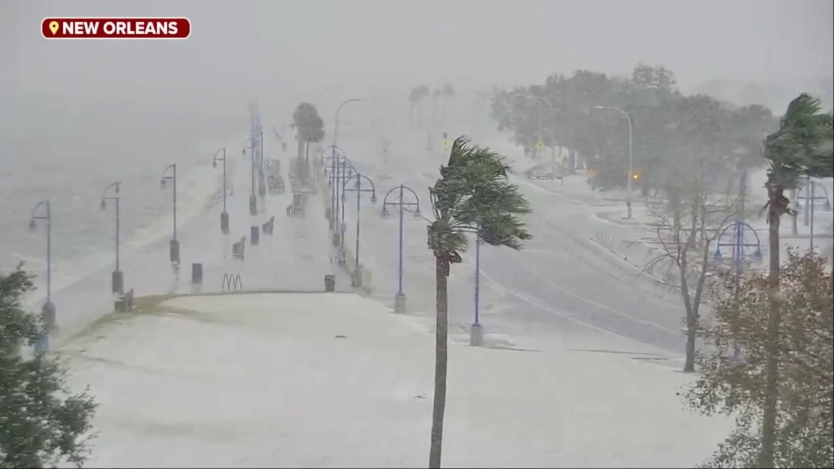 Watch: Palm trees sway amid near-blizzard conditions in New Orleans