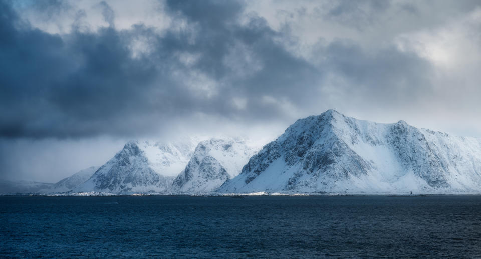 We Swam with Wild Orcas in Norway: Here’s What it Was Like