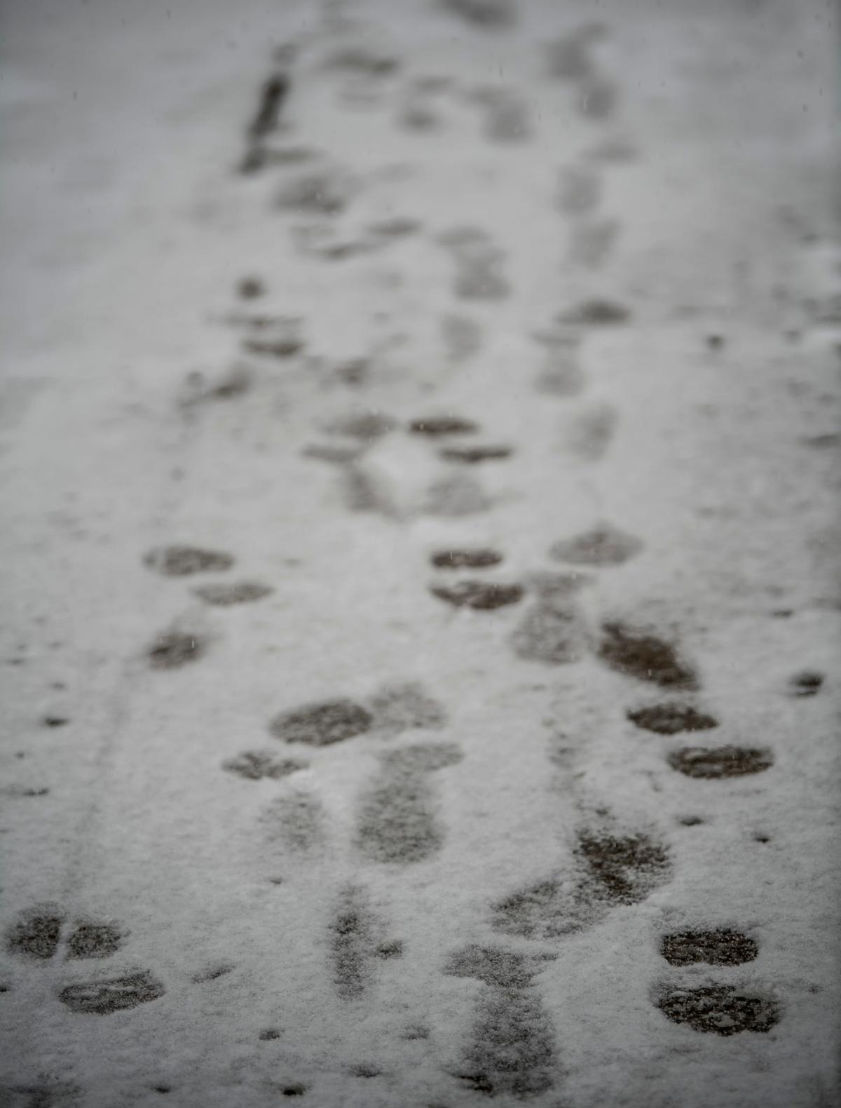 What are the best sledding hills in Bloomington, Indiana?