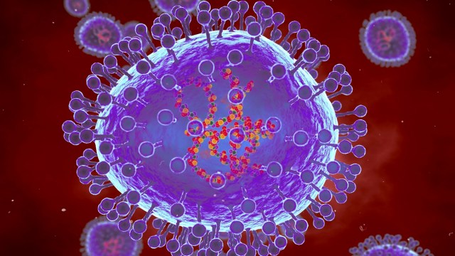 What Is HMPV? New Virus Outbreak in China Explained