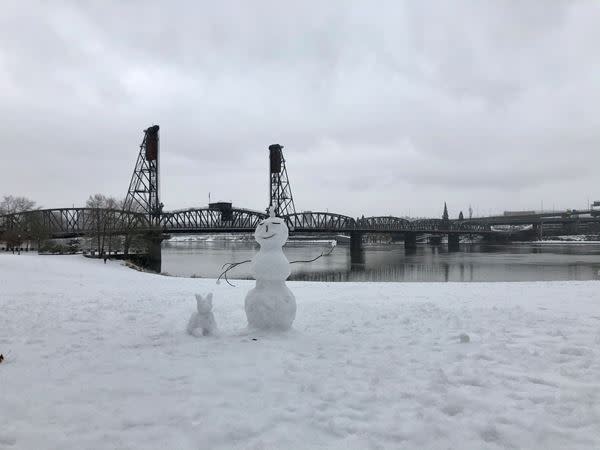 Will Portland see snow in late January? NOAA weather outlook released