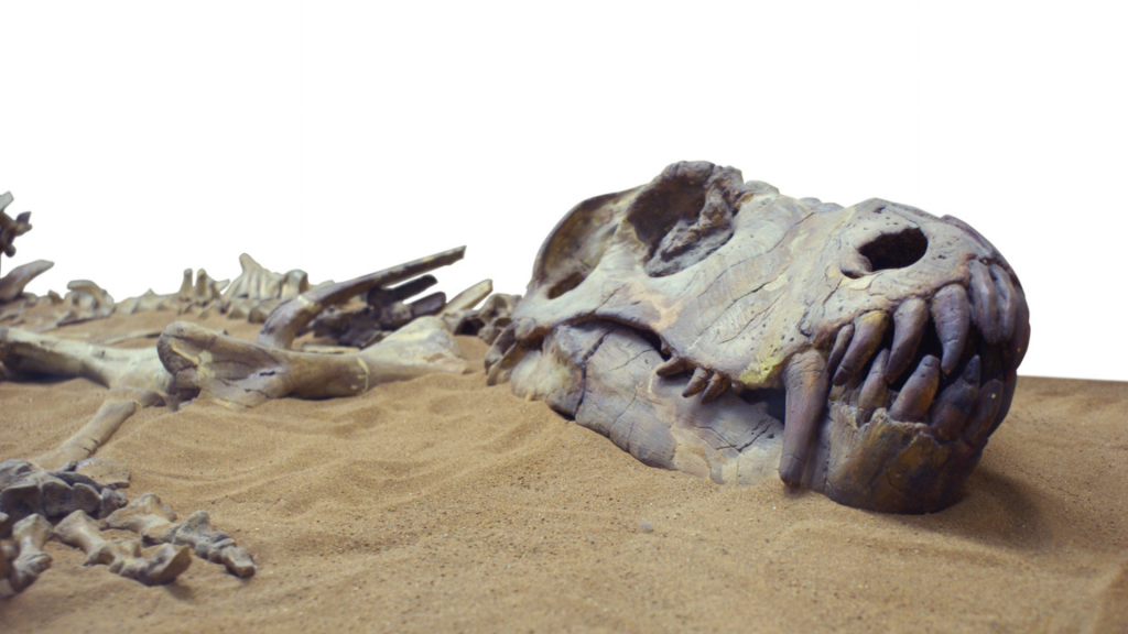 73 million-year-old dinosaur remains with extremely long hands stuns explorers