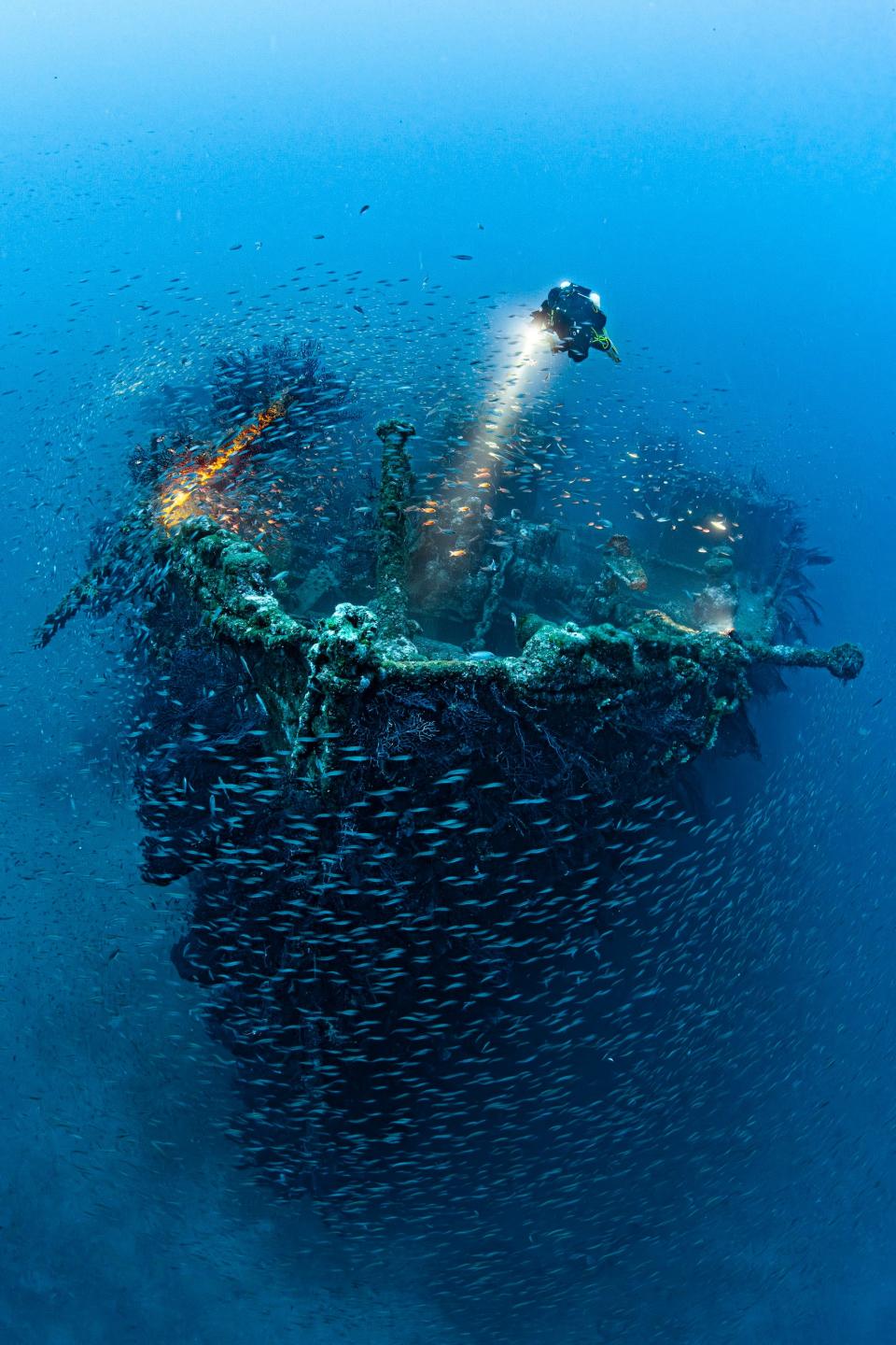 Award-winning underwater photos show haunting wrecks of warships and sunken planes