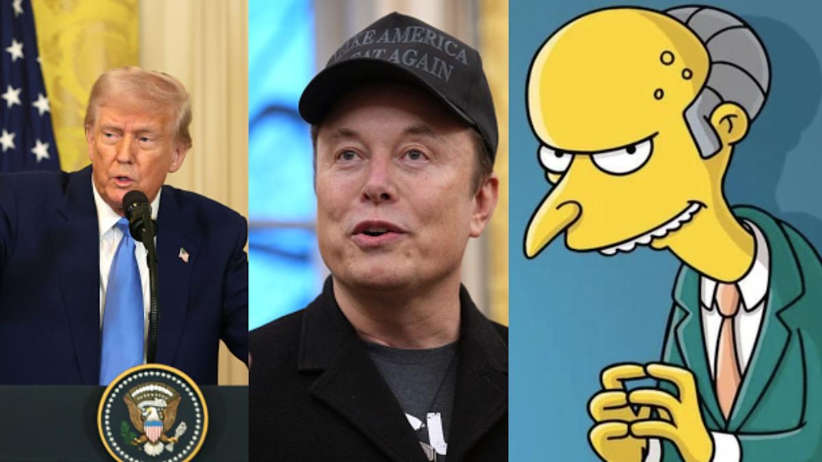 Dethroned! ‘Powerless’ Trump watches Musk go ‘full Monty Burns’ at own cabinet meeting