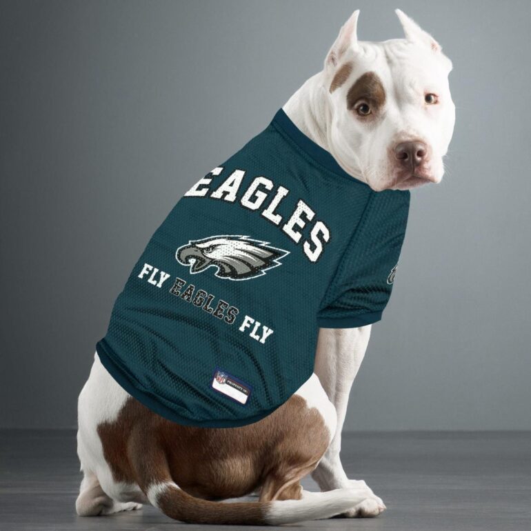 Eagles won Super Bowl 2025: How do I get my free Chewy pet treats?