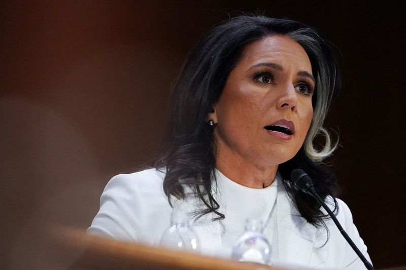 Gabbard boosted in bid to become chief US spy ahead of committee vote