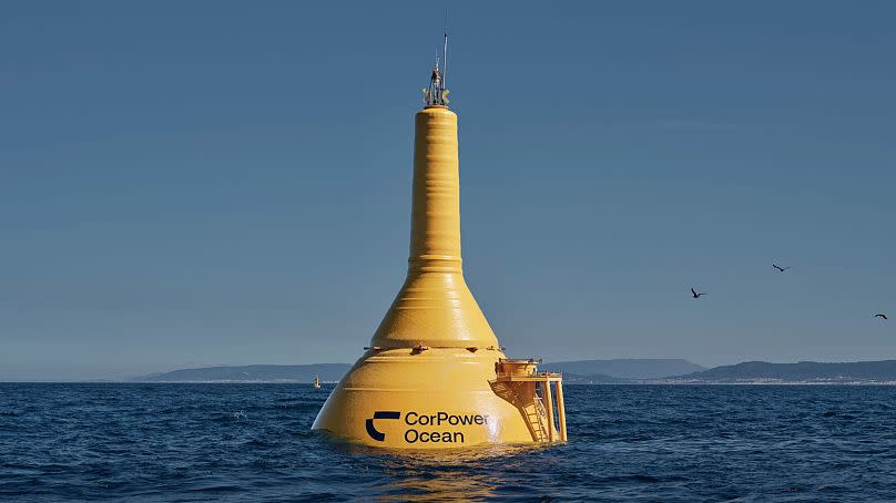 Inspired by the human heart, this buoy converts wave motion into clean electricity